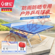 健伦乒乓球桌 室外标准户外家用可折叠移动JL371 （户外款）