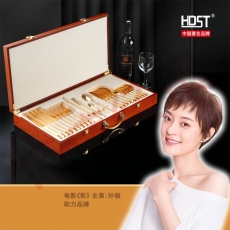 HDST 法式浪漫 24K金西餐具刀叉勺24件套 FSLM-1839