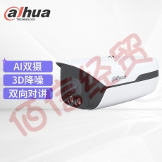 大华dahua 监控摄像头 200万极光定焦海螺网络摄像机 DH-IPC-HDW4243H-E2-AST-2.8MM