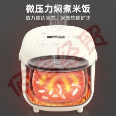 小熊（Bear）迷你3L电饭煲智能预约电饭锅多功能小容量2人3人4人煮饭煮粥锅DFB-B30R1