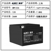 商宇（CPSY）UPS不间断电源电池 商宇原装电池 商宇电池 GW1226
